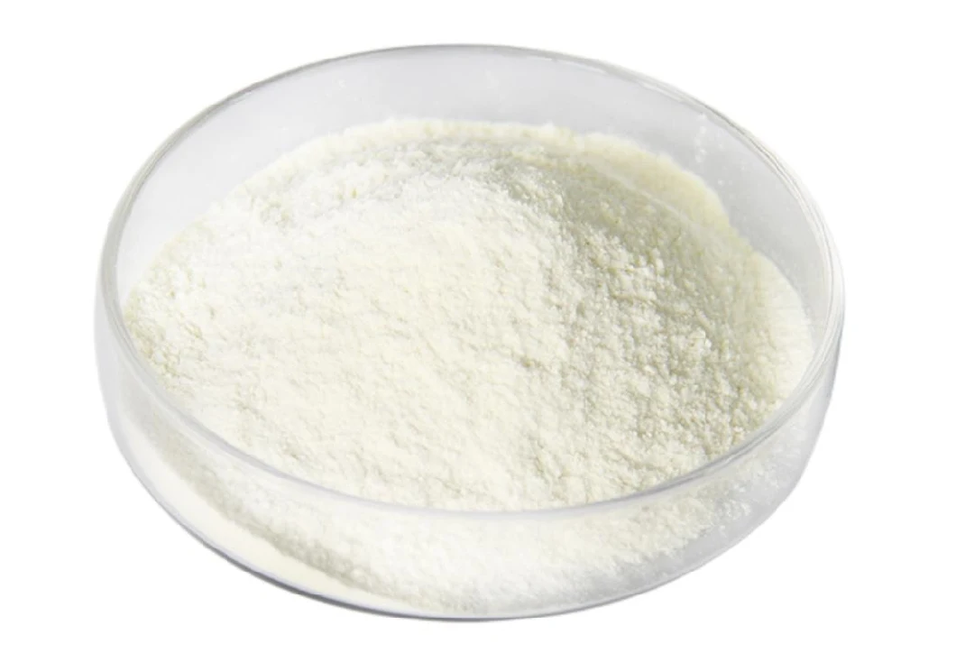 Yogurt Additive Natural Fermentation Live Lactobacillus Probiotics