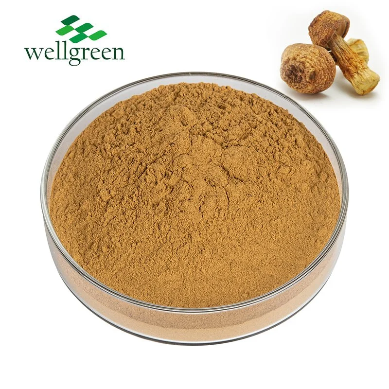 Wellgreen Manufacturer Supply Herbal Murrill Murill Mushroom Powder Agaricus Blazei Extract