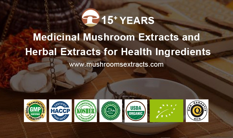 Organic Lion′ S Mane Mushroom Plant Extract Hericium Erinaceus Reishi Cordyceps Militaris Mushroom Herbal Powder