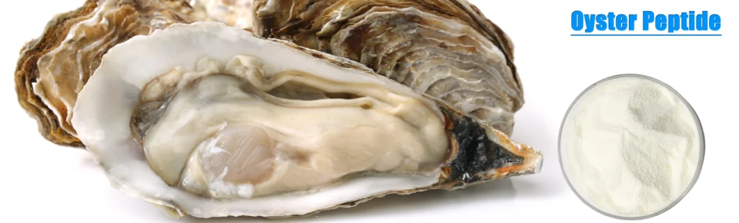 Factory Supply Oyster Peptide Bulk Price Health Food Ingredients Oyster Peptide 50% Protein