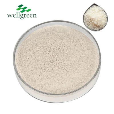 Concentrado de Isolado Orgânico Hidrolisado de Grau Alimentício Peptídeo Roxo Proteína de Arroz Branco