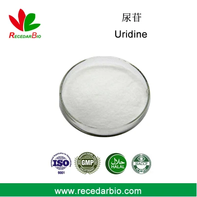 99% Nucleoside Series Uridine UR Powder Uridine com CAS 58-96-8